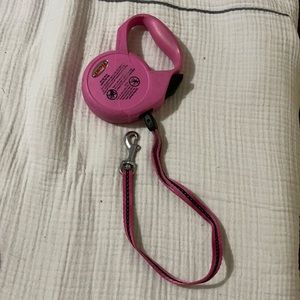 Flexi Dog Leash
